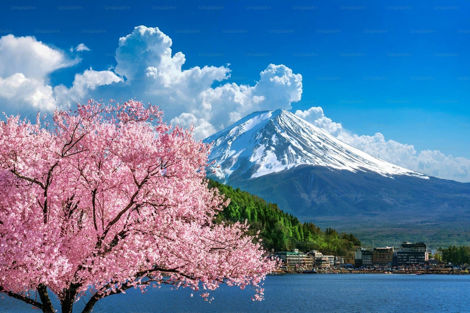 Cherry blossoms framing Mount Fuji above a lakeside town in spring