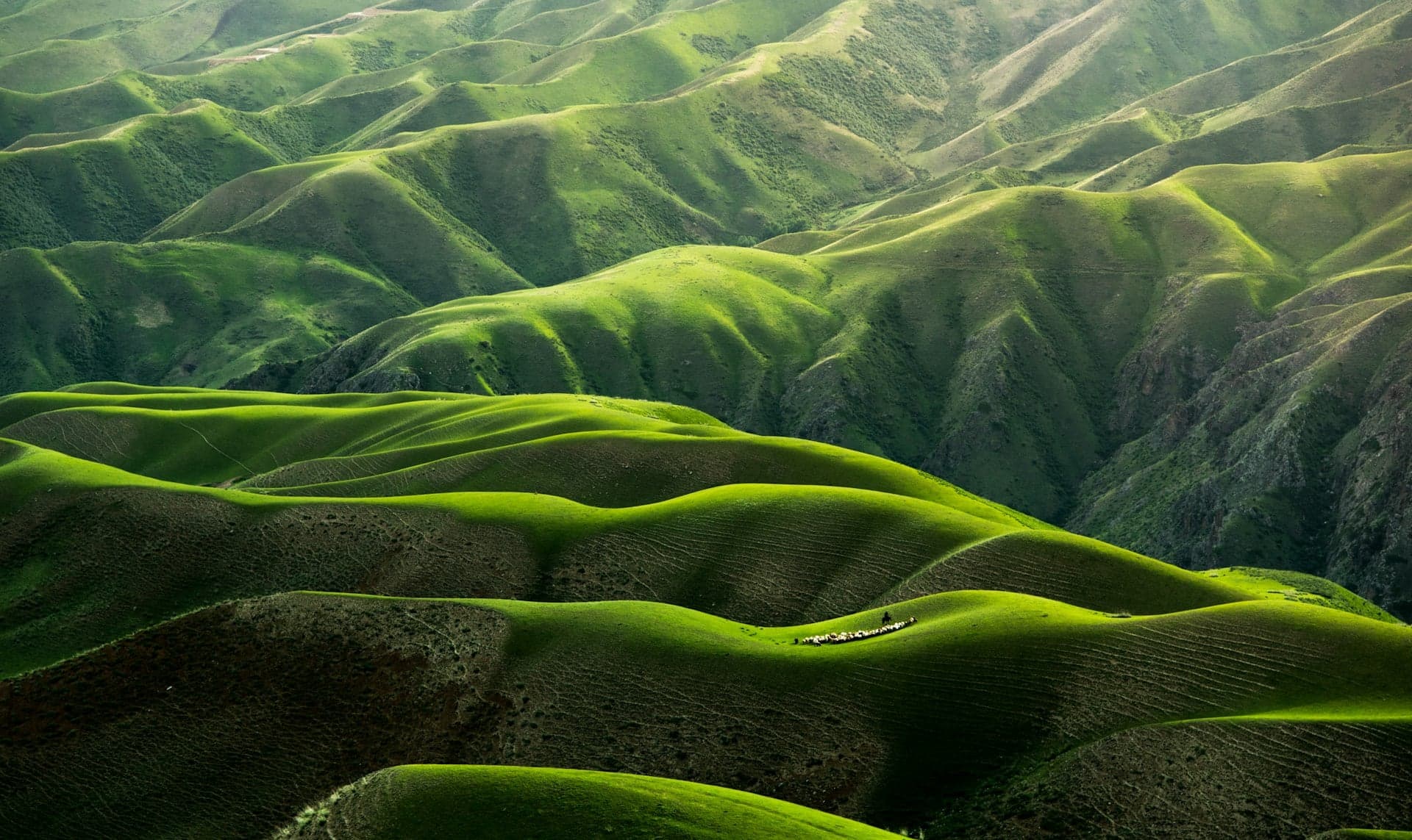 Aerial view of lush green landscape